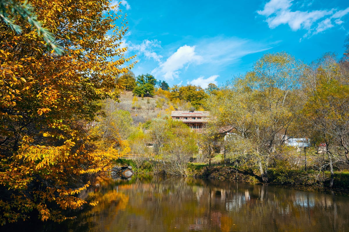 A beautiful autumn day with a lake in the background. The trees are full of leaves and the sky is clear