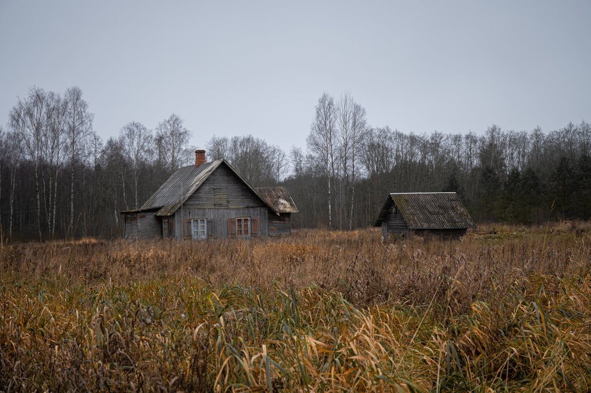 Abandoned Wooden Farmhouse and Shed in Overgrown Autumn Field Under Grey Winter Sky